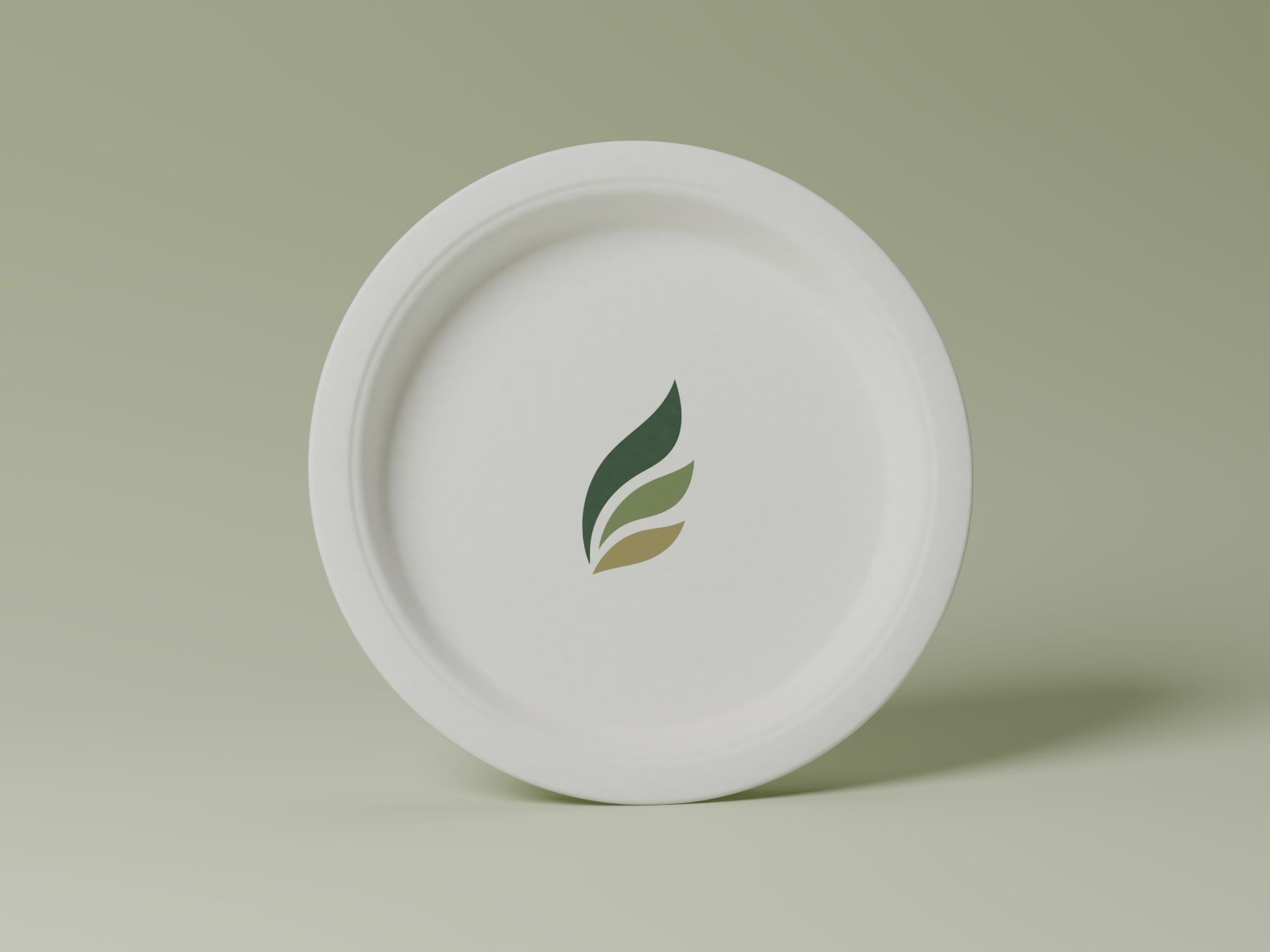 12" Round Plain Plate, front view
