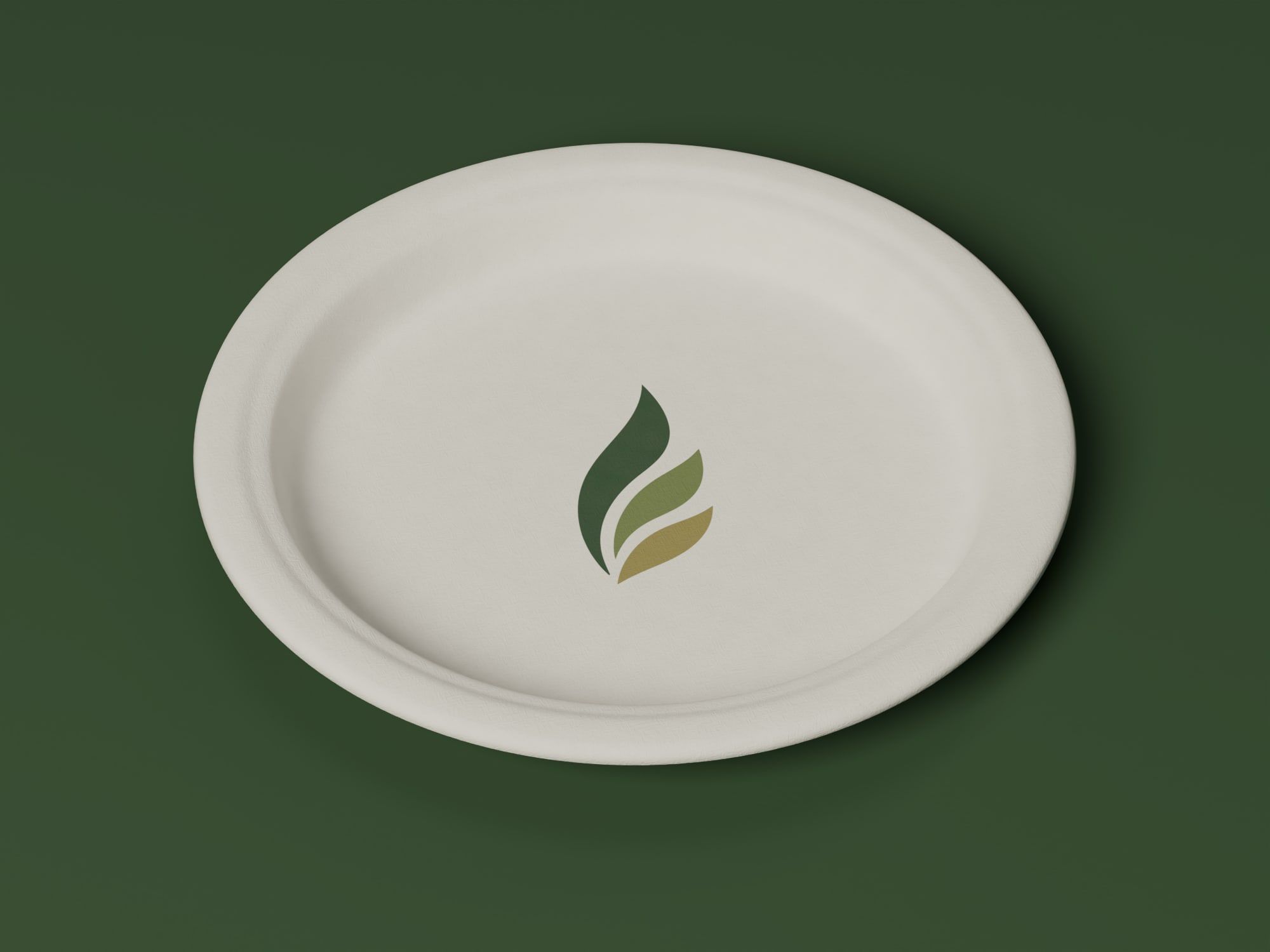 6" Round Plain Plate, angled view