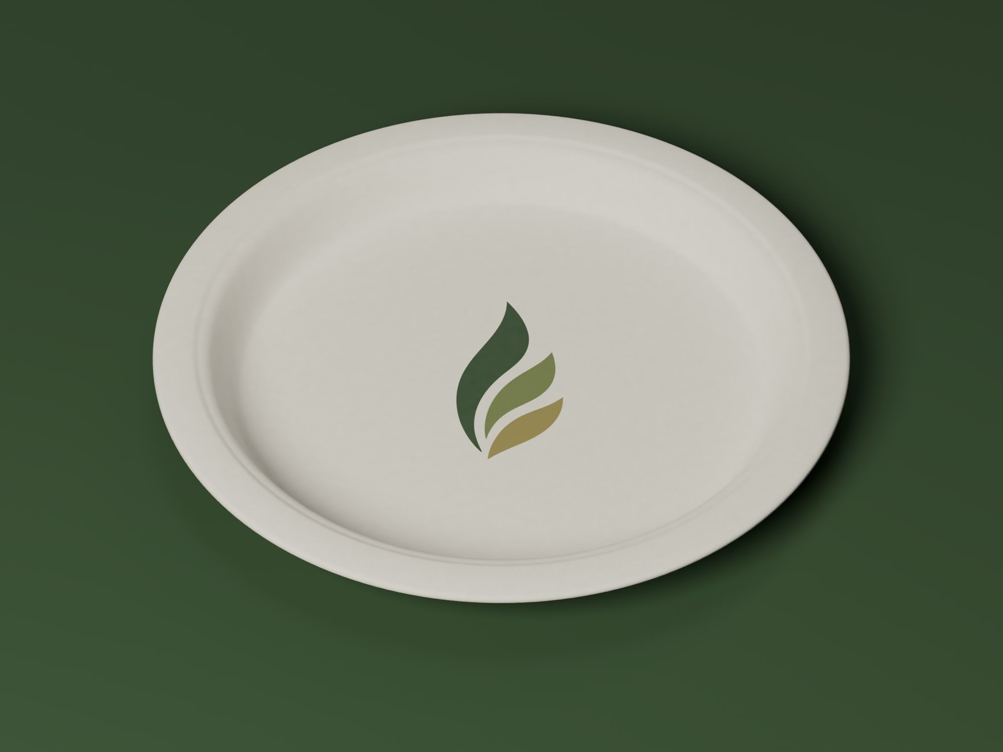 12" Round Plain Plate, angled view