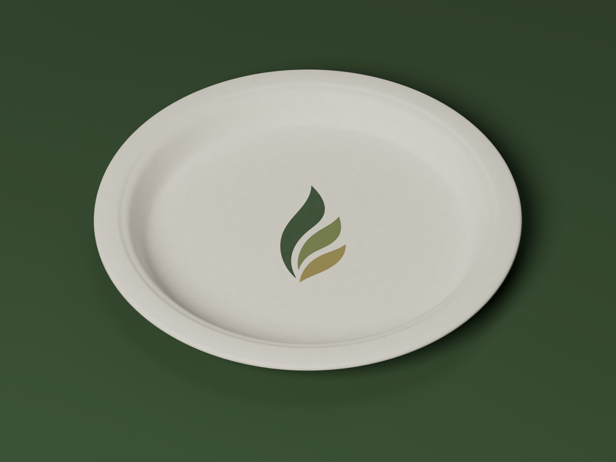 10" Round Plain Plate, angled view