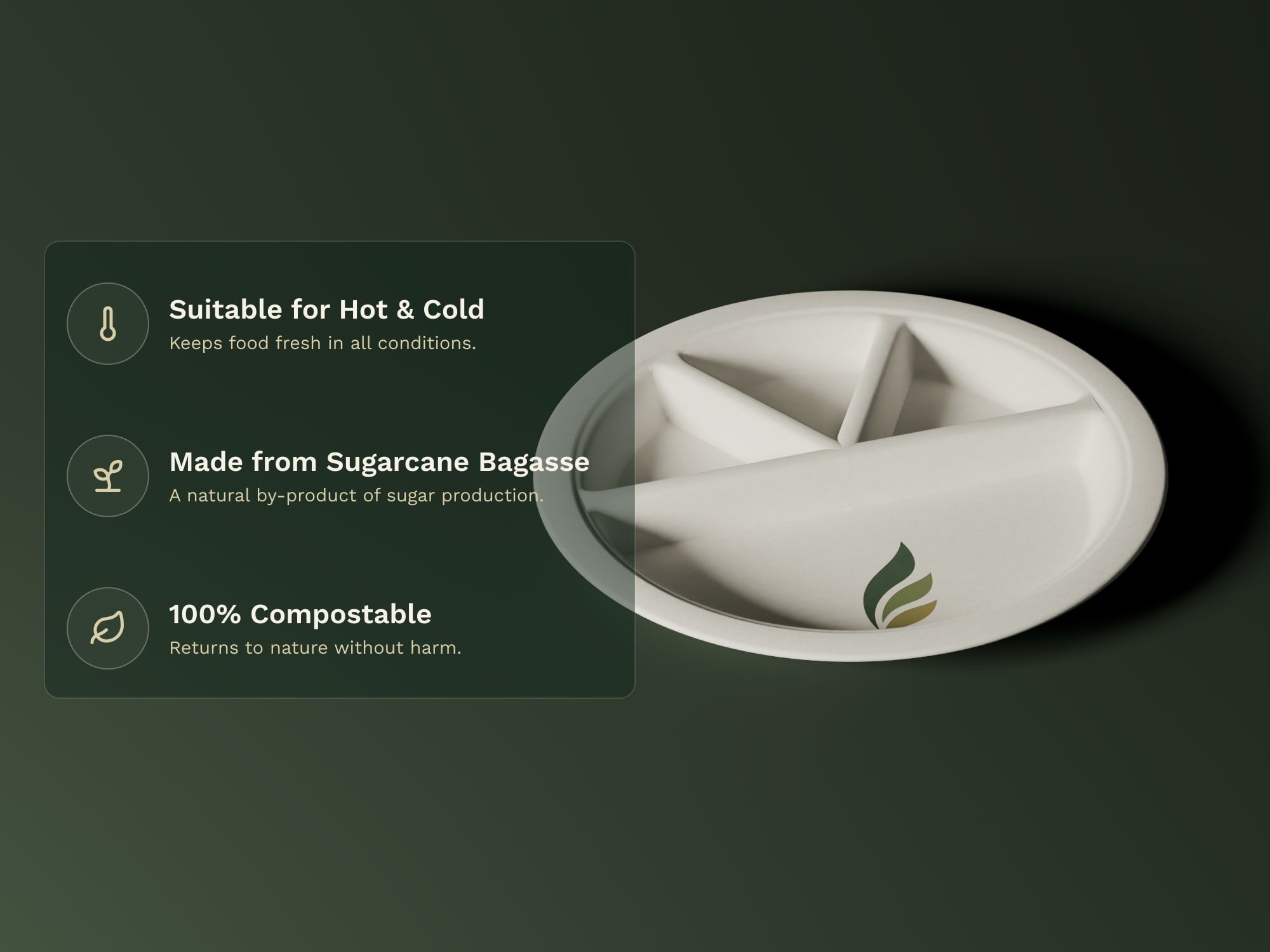 12" 4-Compartment Round Plate, key features