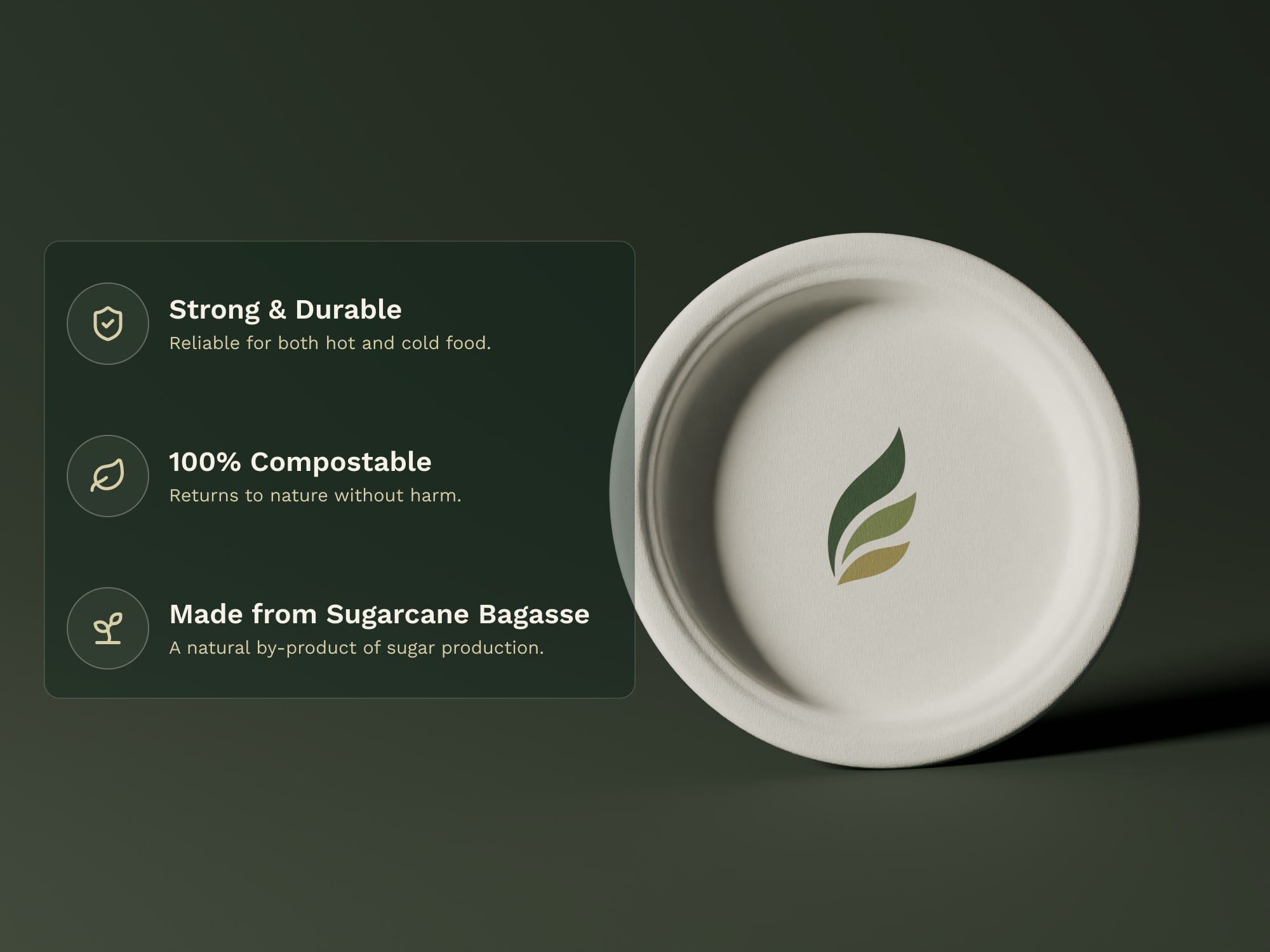 6" Round Plain Plate, key features