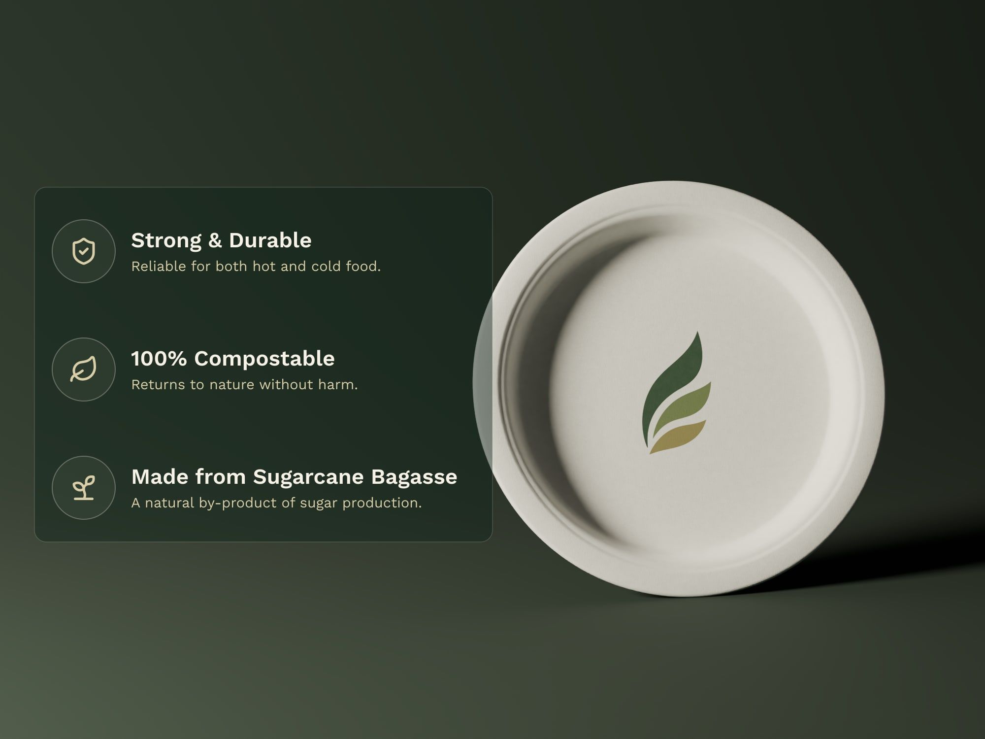 11" Round Plain Plate, key features