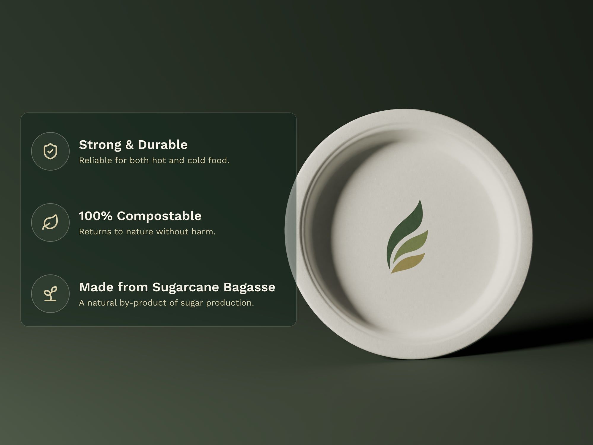 10" Round Plain Plate, key features