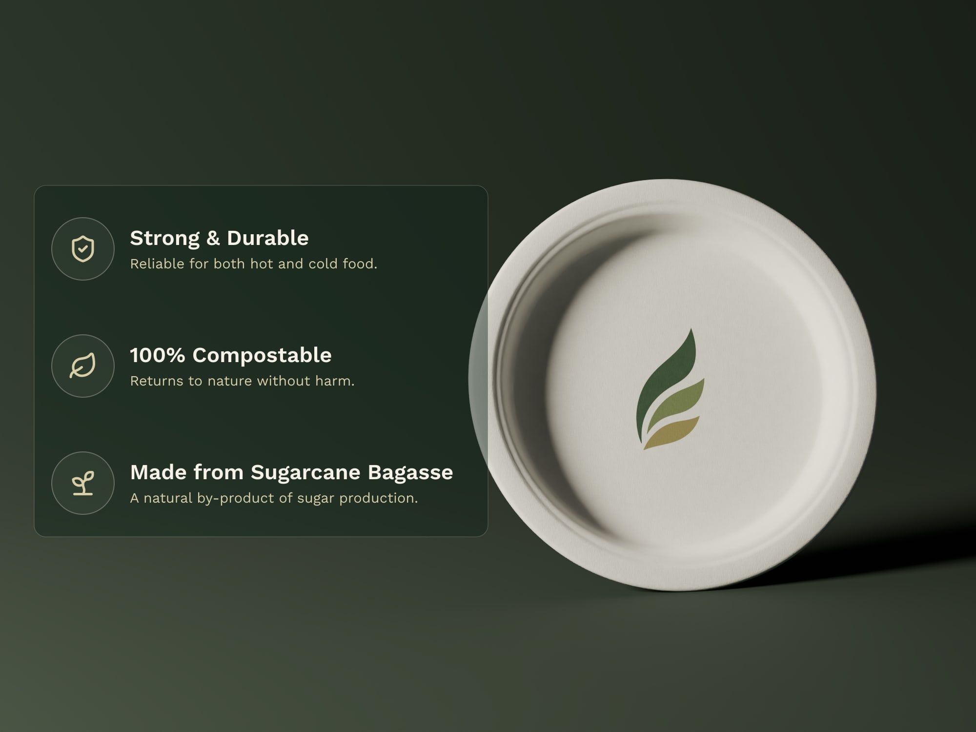 9" Round Plain Plate, key features